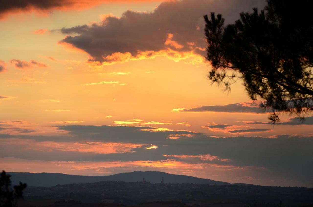 Podere Il Granaio - Crete Senesi - Tuscany Sienne Extérieur photo